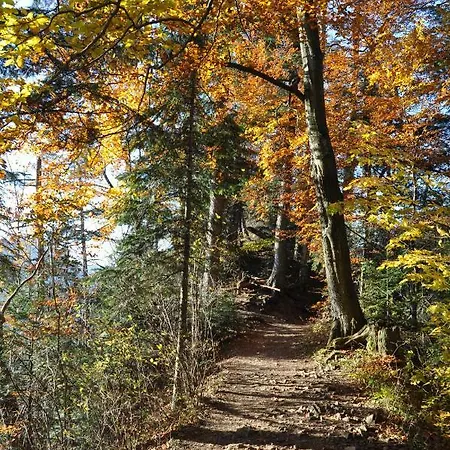 Alloggio in famiglia Nad Wodospadem