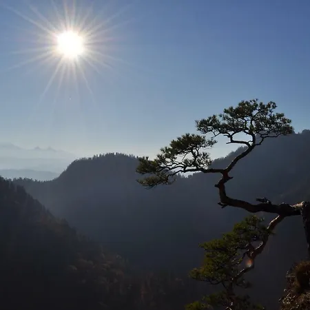 Nad Wodospadem Rum i privatbostad Szczawnica