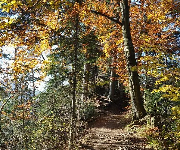 民宿 Nad Wodospadem